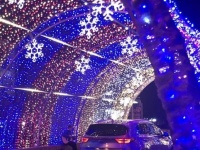 Водителя припарковавшегося под новогодней аркой в Анапе строго наказать!