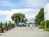 Курортный сбор принес Кубани более 108 млн рублей
