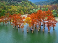 Кипарисовое озеро в Сукко вошло в рейтинг самых посещаемых мест России весной