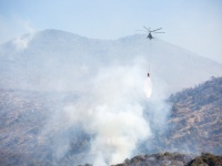 В Анапе ликвидируют пожар в лесной зоне Утриша