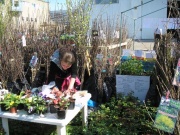 В Анапе работает выставка-ярмарка `Дача, сад и огород`