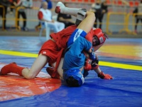 В Гостагаевской прошли соревнования по самбо среди юношей 12-17 лет