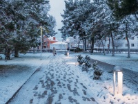 Снег в Анапе, 16 января 2019 (фото)