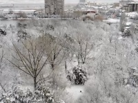 Анапа в снегу, январь 2019 (видео)