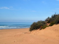 Лучшие песчаные и галечные пляжи Анапского района для детей и взрослых