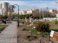 Анапский район, апрель 2019 (фото)