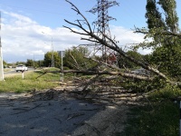 В поселке Виноградном убирали поваленные деревья с дорог