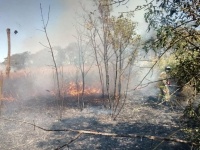 В Анапском районе ликвидировано возгорание сухой травы