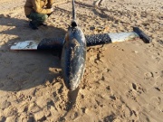 Cамолет-беспилотник обнаружен в море под Анапой