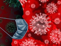 На Кубани 13 новых подтвержденных случаев коронавируса