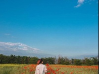 Магнолия, тюльпаны, лаванда и маки: календарь цветения в Новороссийске и в окрестностях - куда ехать